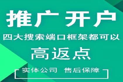 竞品分析在sem账户竞价运营中的应用案例
